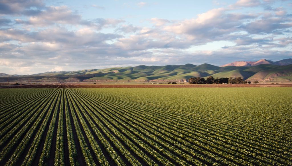 agriculture-clouds-country-974314