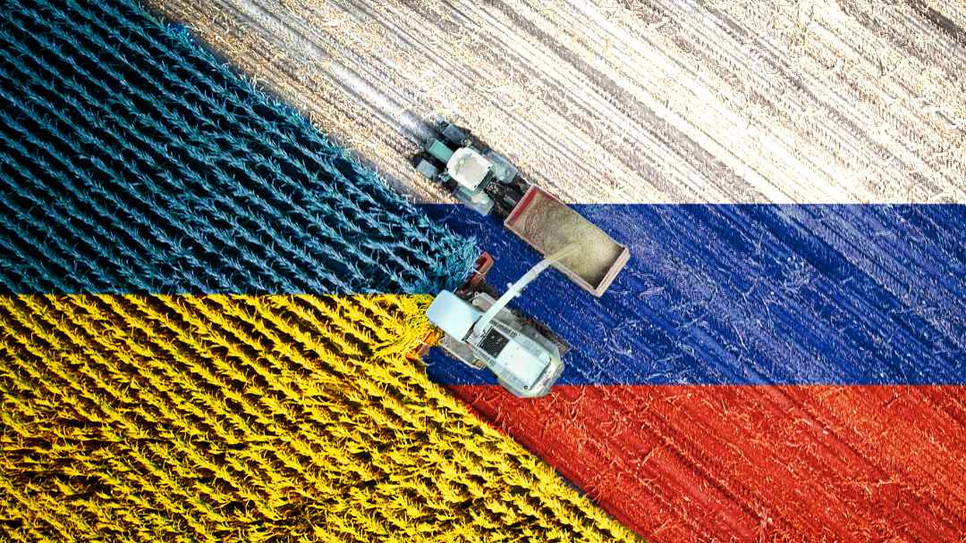 Ukraine-Russia Grain Markets