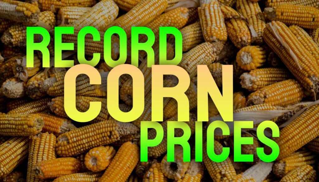 Record Corn Prices - December 2024