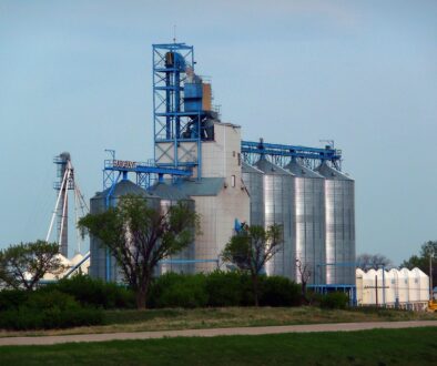 Bunge Viterra Merger 2025