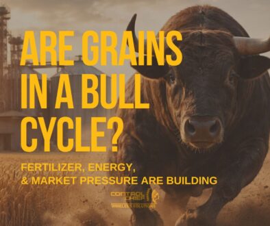 Black Brown Modern Creative Portfolio Presentation (2)