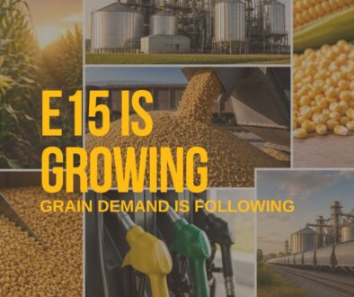 ethanol and grain markets